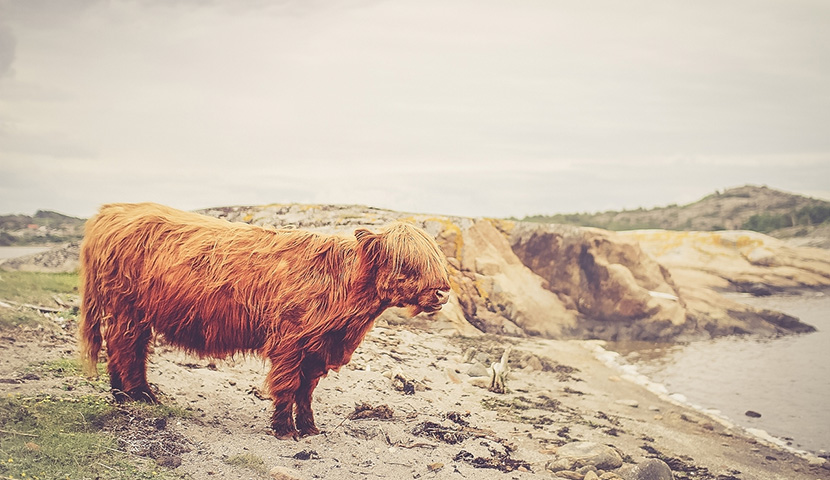ddos在线压力测试平台