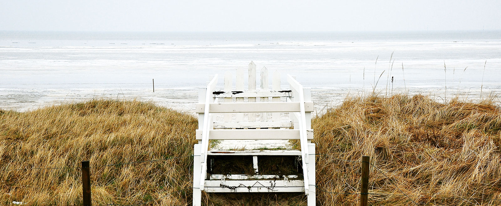 ddos在线压力测试平台