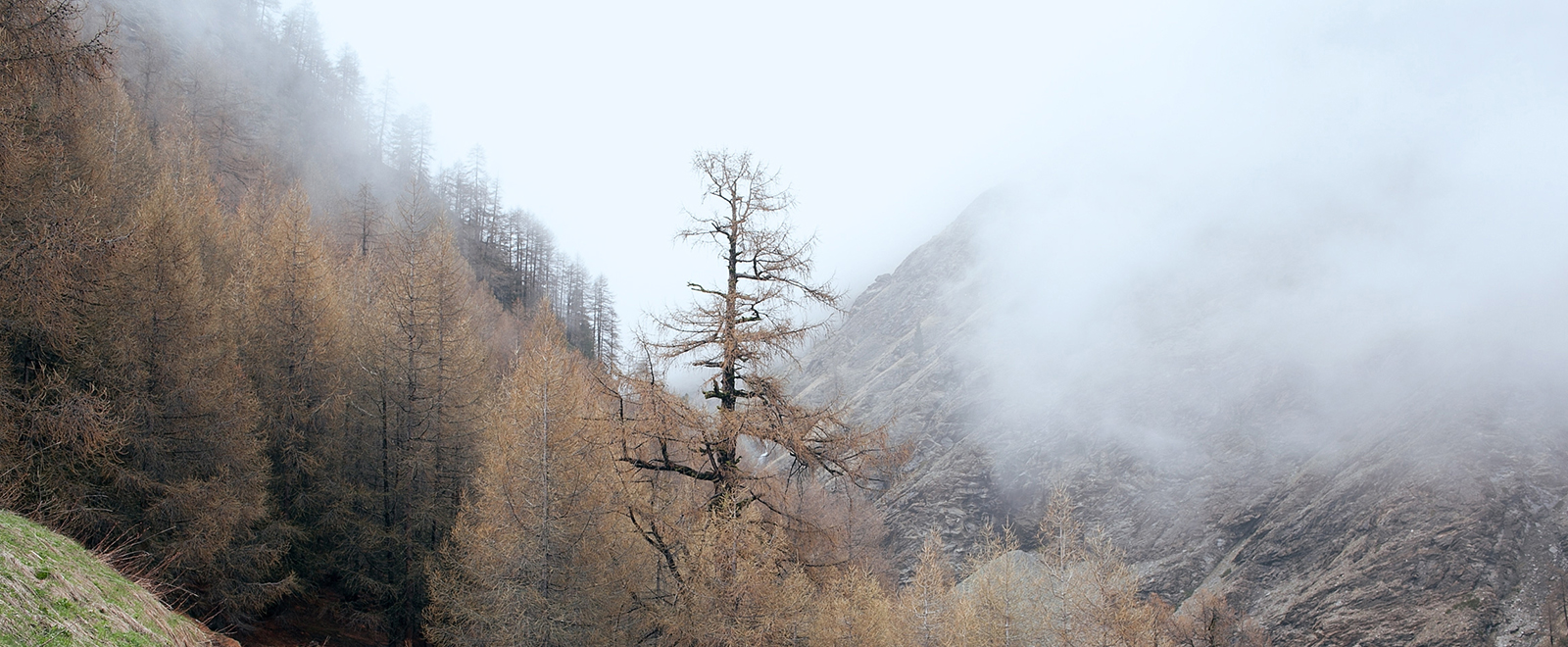 怎么去攻击一个网站与防护